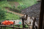 DSC07439