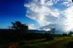 DSC07459