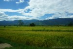 view_edit3